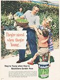1958 ​Batchelor's Peas - vintage ad