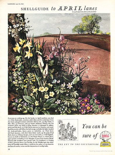1954 Shell Guide to April lanes - unframed vintage ad
