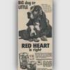 vintage red heart  pet food
