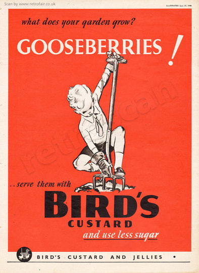 1940 Bird's Custard - unframed vintage ad