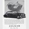 1951 Jaguar advert