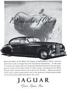 1951 Jaguar