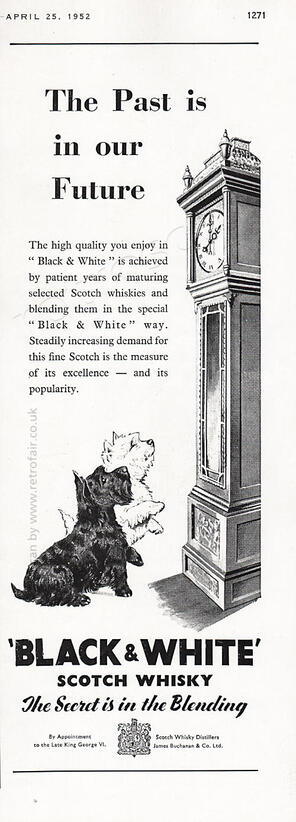 1952 Black & White Scotch Whisky  vintage ad
