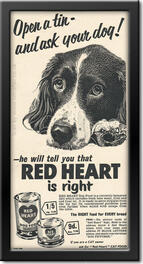 1955 Redheart Pet Food  advert