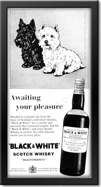 1958 Black & White Whisky - framed sample