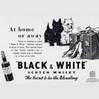 1952 Black & White Whisky - vintage